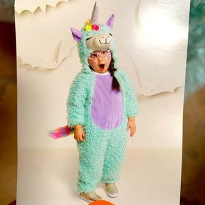 Llama unicorn costume